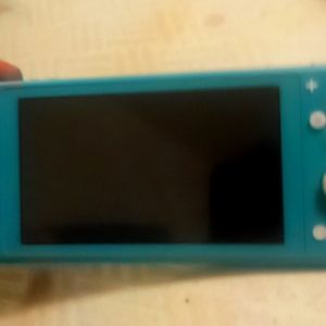 Nintendo switch lite